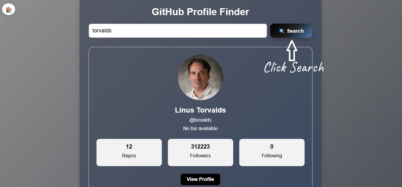 Search for a GitHub profile